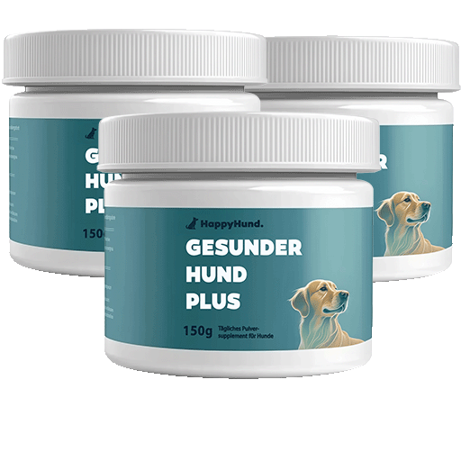 Gesunder Hund Plus Pack